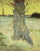 Vincent Van Gogh The Old yew tree Spain oil painting artist
